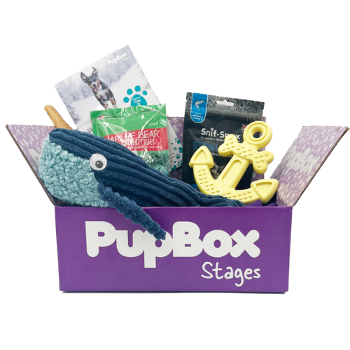 PupBox
